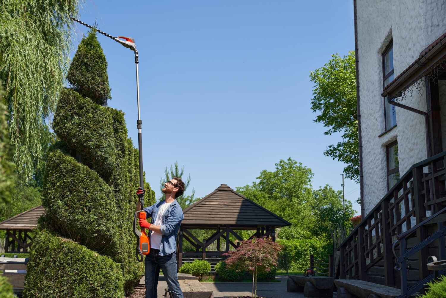 Tree Removal for Businesses in Pottsboro, TX